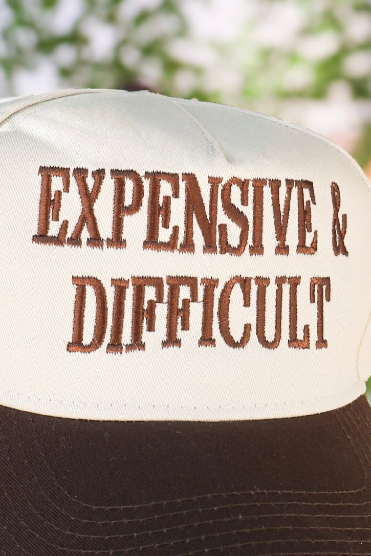 Expensive and Difficult Embroidered Trucker Hat in Chocolate - alternate view