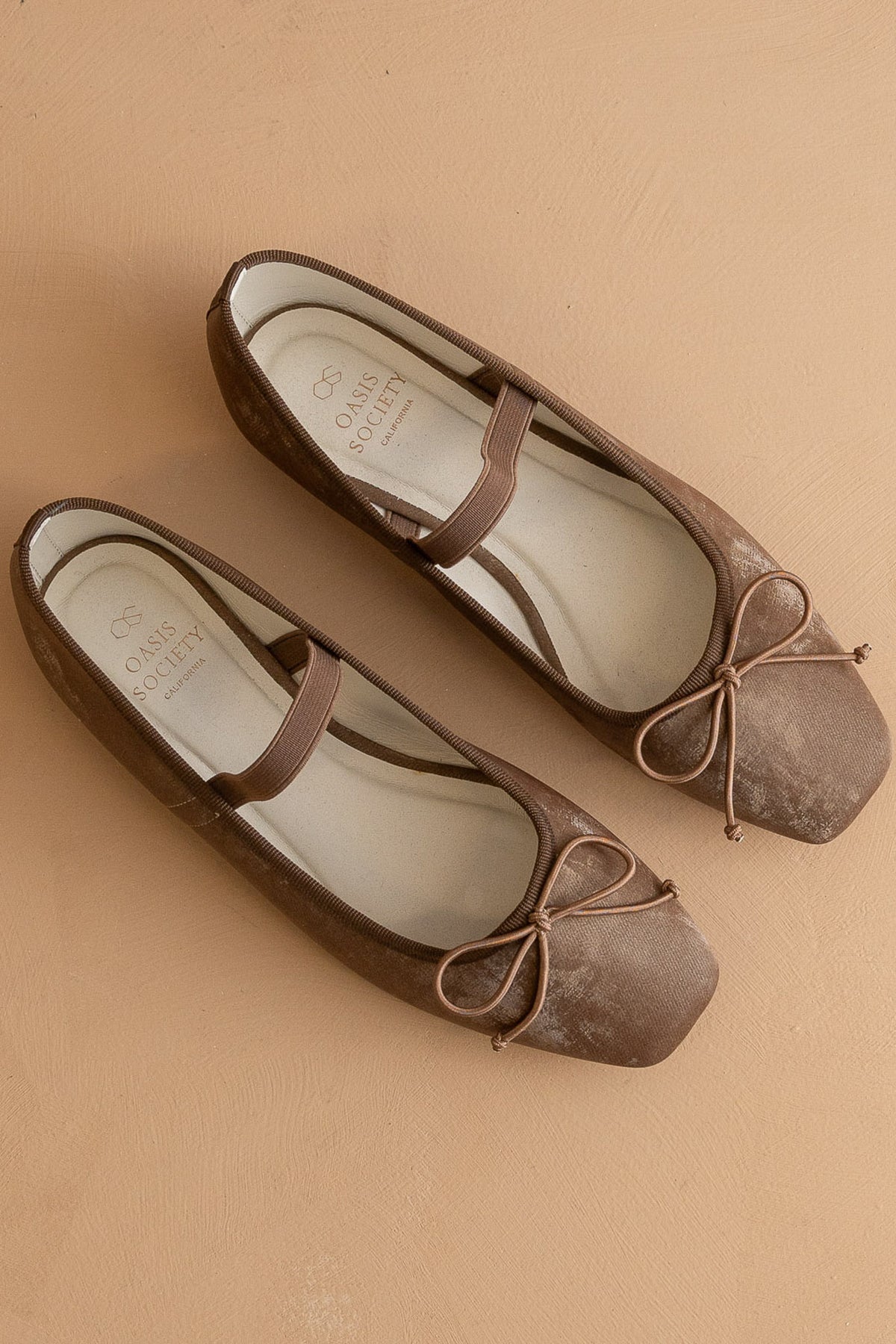 Brown Ballet Flats Flatlay