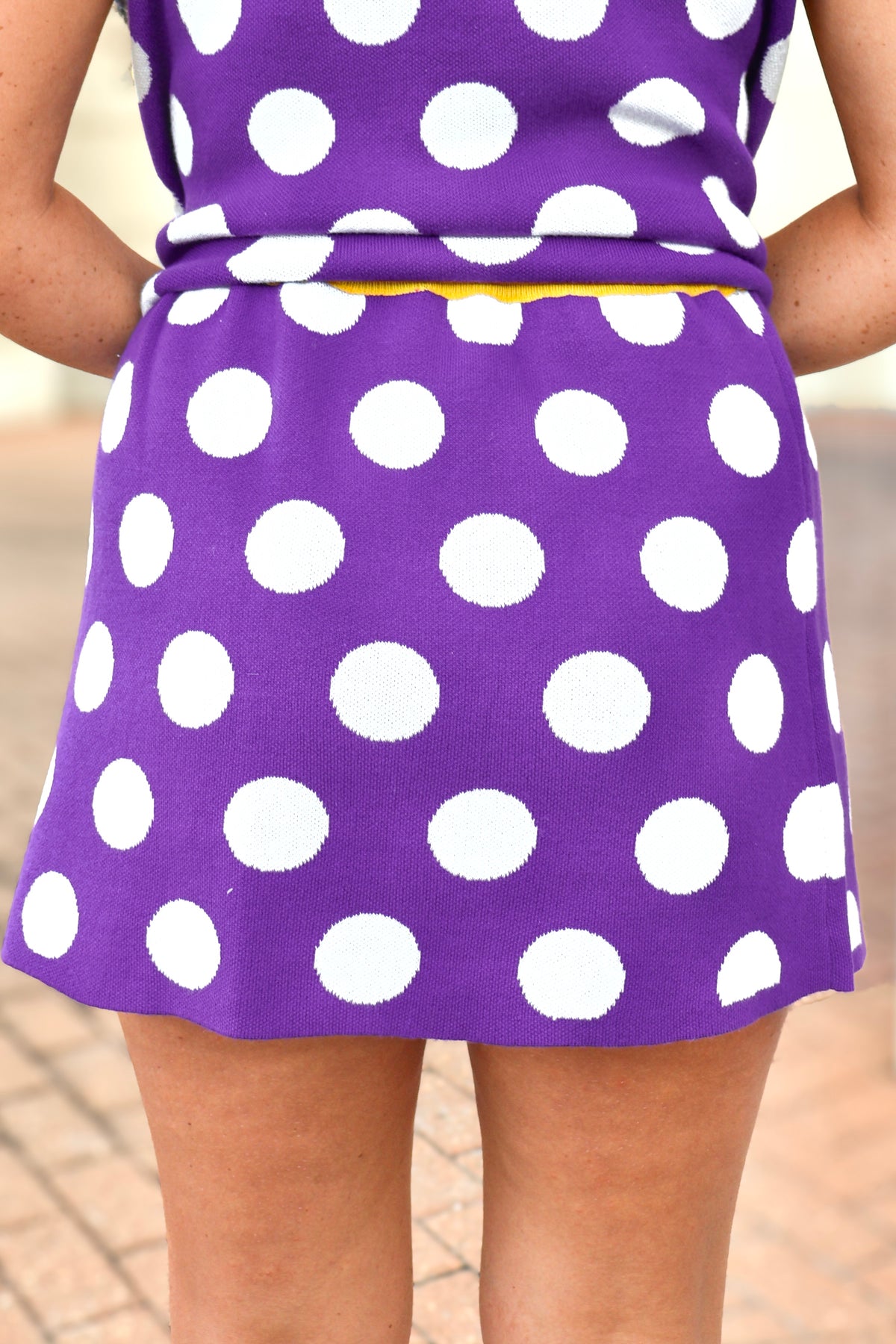 Hear the Roar Polka Dot Knit Skirt by Queen of Sparkles in Purple - back view
