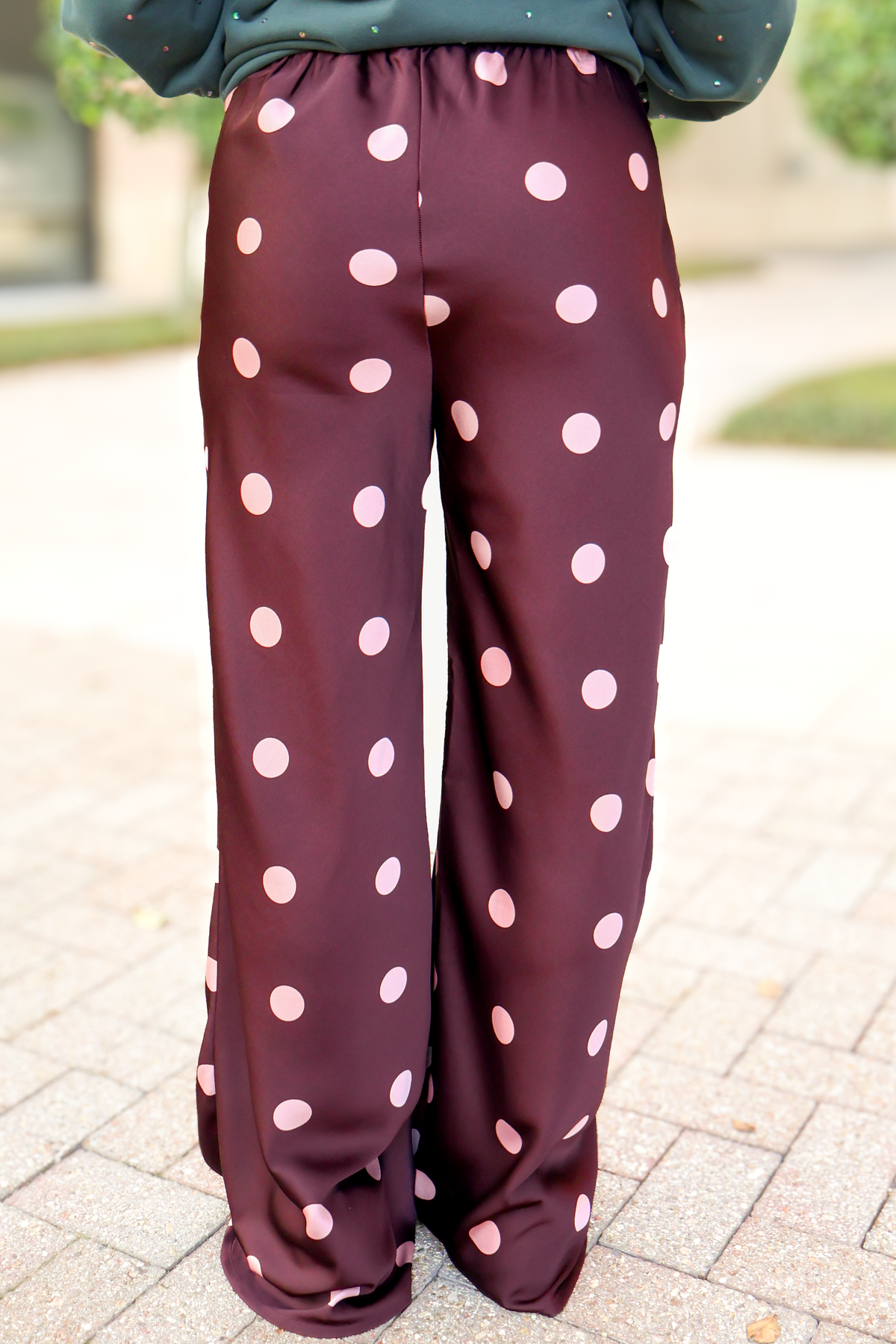 A Warm Welcome Polka Dot Side Zip Satin Pants - back view