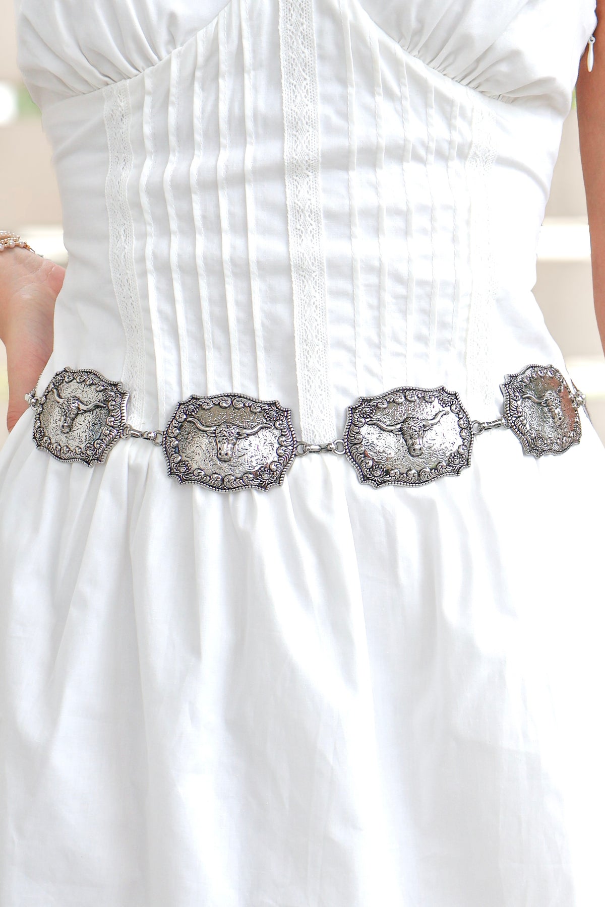 Wrong Ones Western Long Horn Chain Belt-ACC BELT